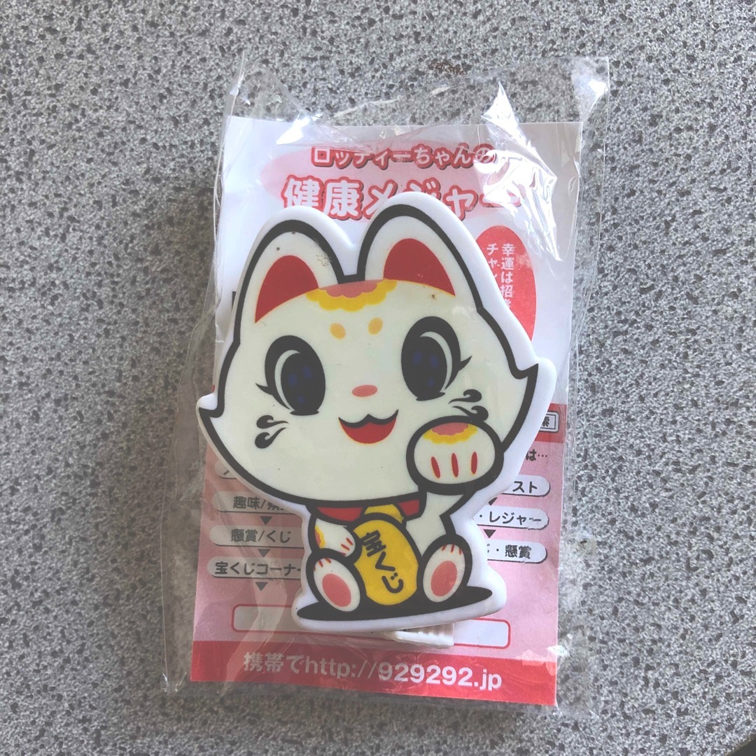 ロッティーちゃんの健康メジャー エンタメ/ホビーのおもちゃ/ぬいぐるみ(キャラクターグッズ)の商品写真