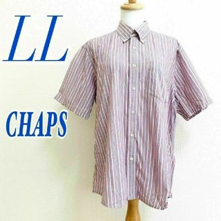 CHAPS チャップス　半袖シャツ　ストライプ　カジュアル　パープル　LL