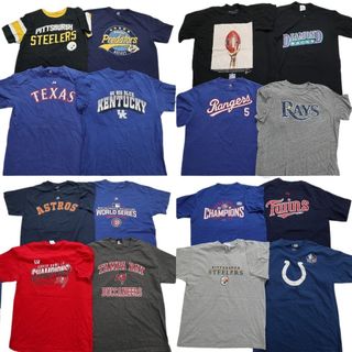 古着卸 まとめ売り プロチーム 半袖Tシャツ 16枚セット (メンズ L ) NFL MLB スティーラーズ アストロズ コルツ 中古 古着 NB3765(その他)
