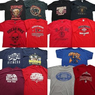 古着卸 まとめ売り カレッジ風 半袖Tシャツ 15枚セット (メンズ L /XL ) チームロゴ ミシガン 英文字 スカル 中古 古着 NB3930(その他)