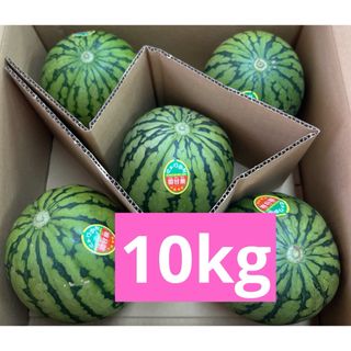 産地直送　甘シャリスイカ　姫甘泉　小玉スイカ(フルーツ)