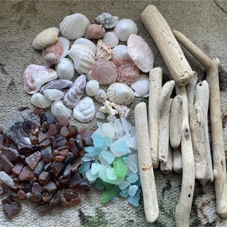 天然 貝殻・シーグラス・ガラス粒・ミニ流木mix✴︎。ハンドメイド 微小貝 工作(各種パーツ)