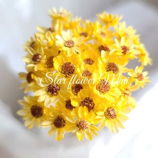 加工花材＊　スターフラワー ミニ　ヘッド　30個　プリザーブドフラワー　花材
