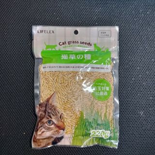 猫草の種220g　愛犬・猫草の種　育て方メモ付き　 翌日発送！毛玉対策(猫)