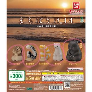 まちぼうけ14 ガチャガチャ(キャラクターグッズ)