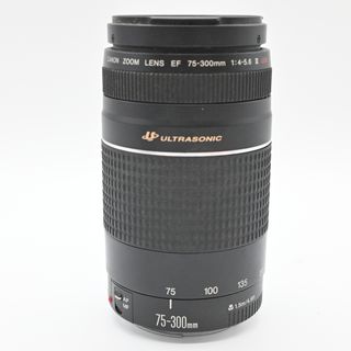 【難有品】Cannon kiss 75₋300mm(デジタル一眼)