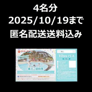 東京都競馬　株主優待　東京サマーランド　株主ご招待券　1Dayパス　4枚(その他)