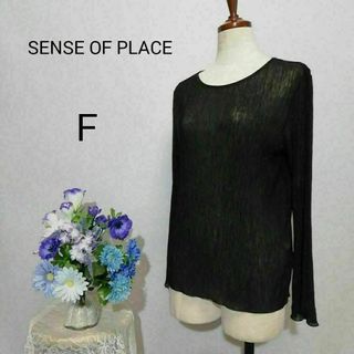 センスオブプレイスバイアーバンリサーチ(SENSE OF PLACE by URBAN RESEARCH)の極上美品　センスオブプレイス　透け感有り　長袖ブラウス　Fサイズ　黒色系(シャツ/ブラウス(長袖/七分))