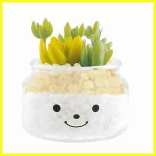 【特価商品】キシマ(Kishima) 人工観葉植物 グリーン 10φ×11.5H(その他)