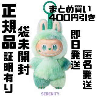 ラブブ THEMONSTERS BigintoEnergy SERENITY(キャラクターグッズ)