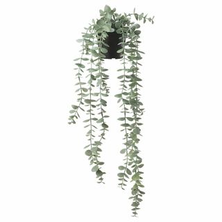 【数量限定】IKEA (イケア) FEJKA：人工観葉植物/つり下げ型58 cm(その他)