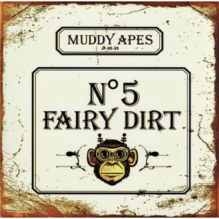 Ｆａｉｒｙ　Ｄｉｒｔ　Ｎｏ．５（初回限定盤）（ＤＶＤ付）(ポップス/ロック(邦楽))