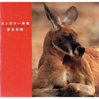 写真集　カンガルー時間／岩合光昭【写真・文】(趣味/スポーツ/実用)