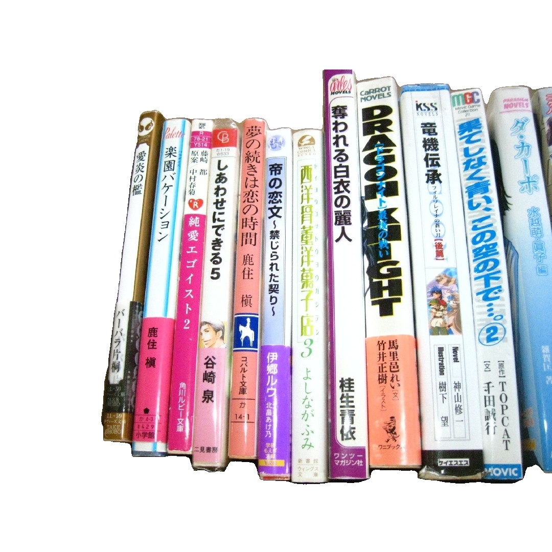 同人誌BLコミック 小説詰め合わせ約42冊 エンタメ/ホビーの漫画(ボーイズラブ(BL))の商品写真