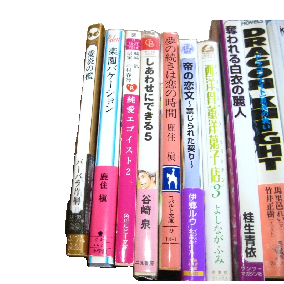 同人誌BLコミック 小説詰め合わせ約42冊 エンタメ/ホビーの漫画(ボーイズラブ(BL))の商品写真
