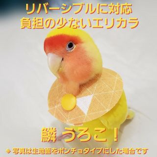 インコ エリザベスカラー(＋うろこ・鱗)1枚・3サイズ・4g(鳥)
