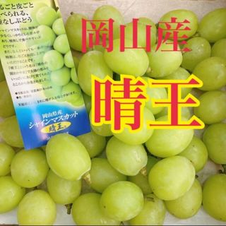 岡山県産　晴王　シャインマスカット　　#4(フルーツ)