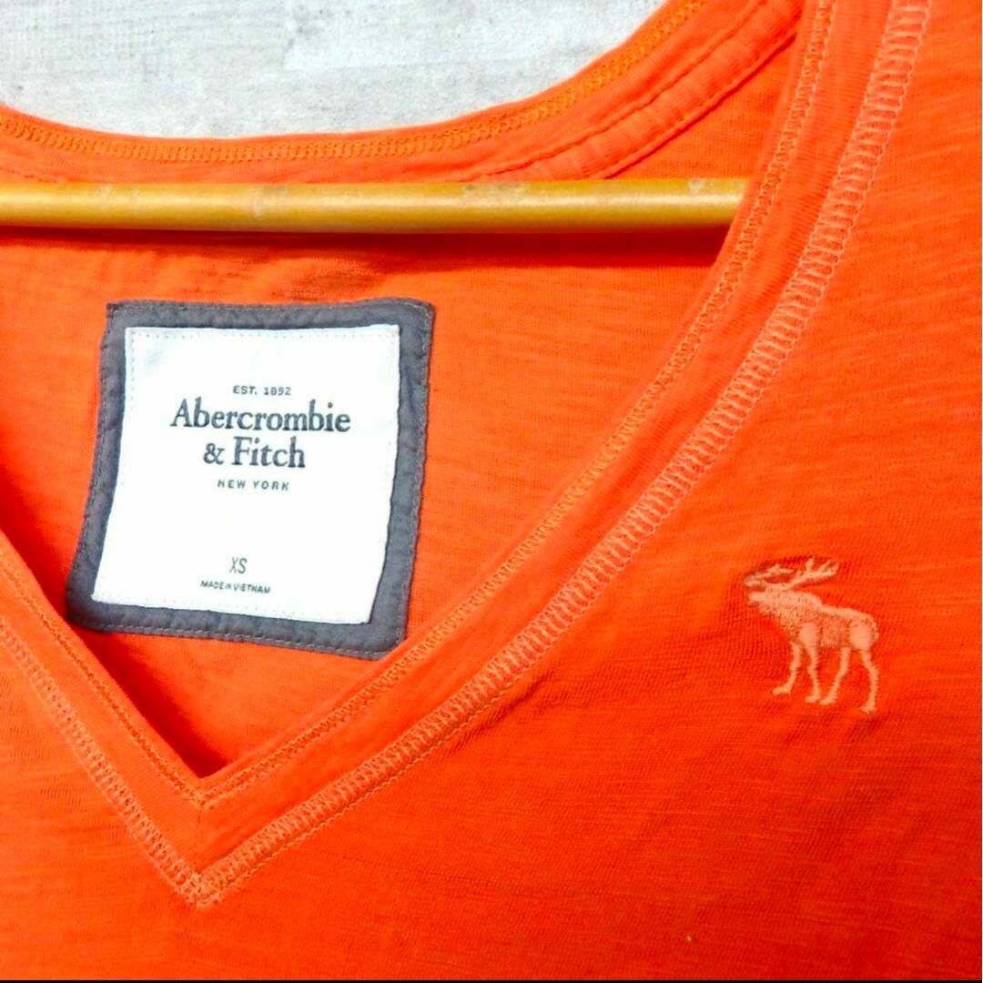 Abercrombie&Fitch(アバクロンビーアンドフィッチ)のアバクロ　レディスTシャツ　XSサイズ レディースのトップス(Tシャツ(半袖/袖なし))の商品写真