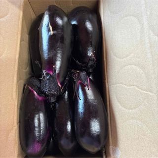 訳あり茄子　約2キロ(野菜)