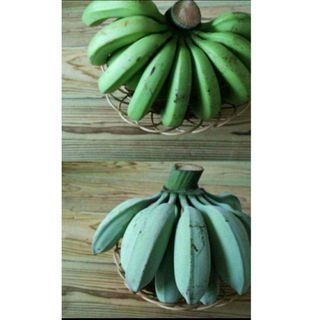 石垣島産 自然栽培 台湾バナナ&アイスクリームバナナ食べ比べセット【2kg】(フルーツ)