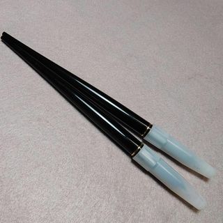 プラチナ万年筆 デスクペン 2個セット 5L141(ペン/マーカー)