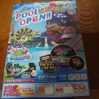 芝政ワールド　割引　チラシ(プール)