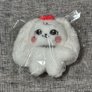 IVE minive 10cm ぬいぐるみ キーリング ウォニョン(アイドルグッズ)