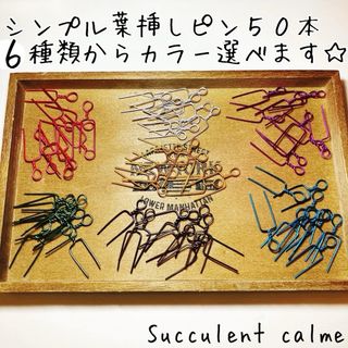 ⑯６色から選べる☆シンプル葉挿しピン５０本 多肉植物 ランナーピン(その他)