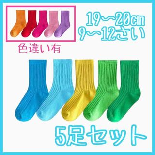 19〜20㎝ ５足セット キッズ カラーソックス カラフル 子供靴下 B(靴下/タイツ)