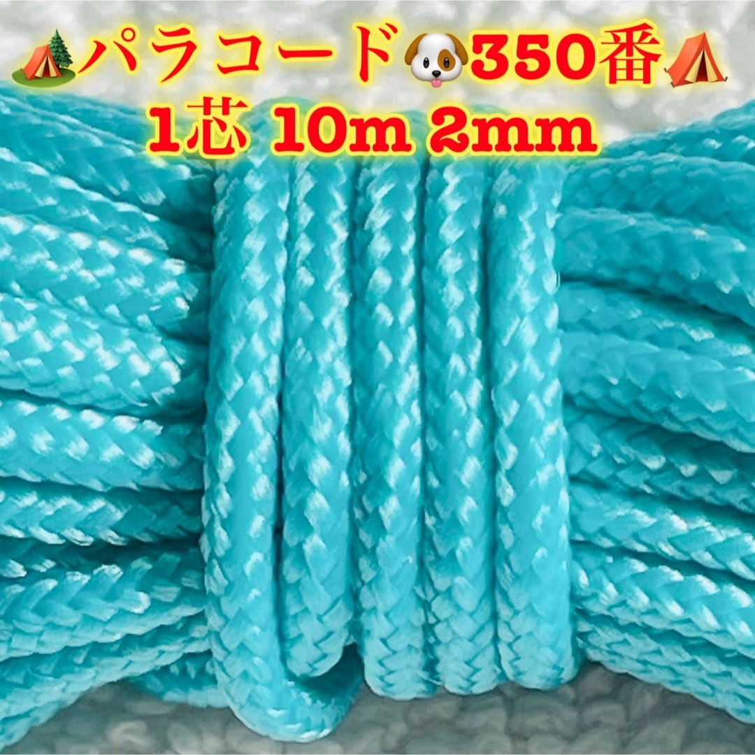 パラコード　１芯 １０m ２mm    ３５０番　手芸とアウトドアなど用 ハンドメイドの素材/材料(生地/糸)の商品写真