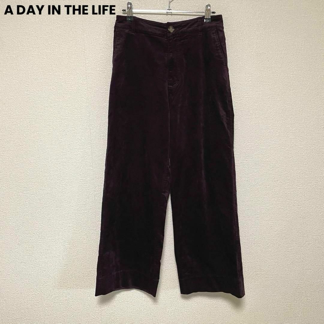 a day in the life(アデイインザライフ)のzo716 A DAY IN THE LIFE/ワイドストレート/ベロア風パンツ レディースのパンツ(カジュアルパンツ)の商品写真