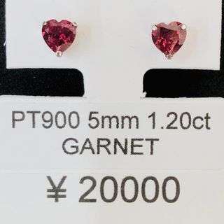CE-36949 PT900 ピアス ガーネット(ピアス)