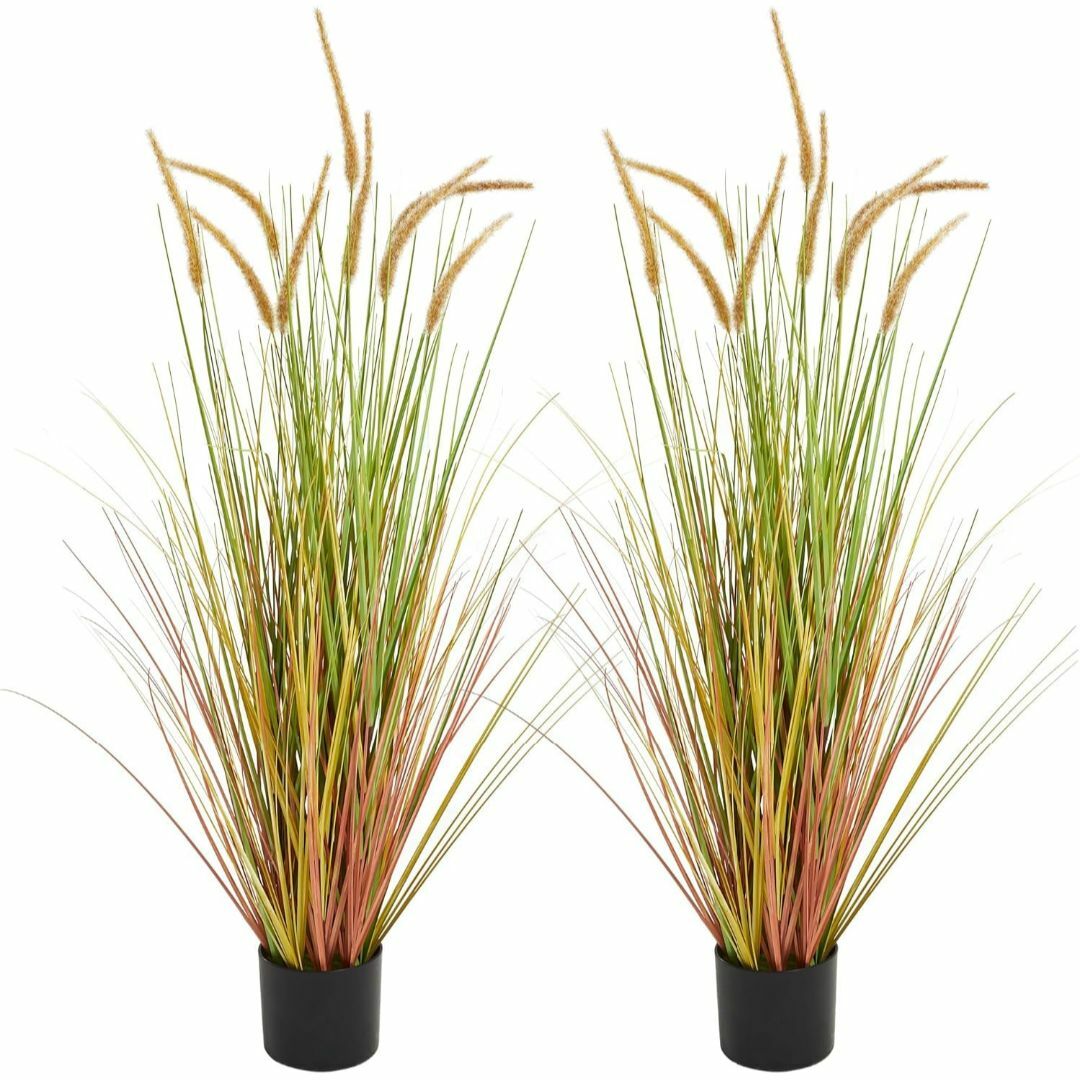 【特価商品】Worth フェイクグリーン 観葉植物 インテリア おしゃれ 人工観 その他のその他(その他)の商品写真