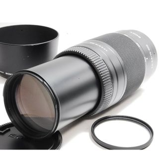 ★夏の極彩色の世界を撮ろう★SONY 75-300mm 望遠レンズ★