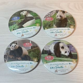 アドベンチャーワールド　パンダ家族　缶バッジ