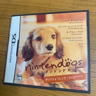 ニンテンドーDS ニンテンドックス