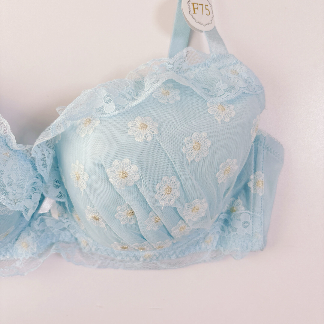 ブラジャーショーツ　F75/L サックス　花柄刺繍　ドルチェフィオラ　甘×清楚 レディースの下着/アンダーウェア(ブラ&ショーツセット)の商品写真
