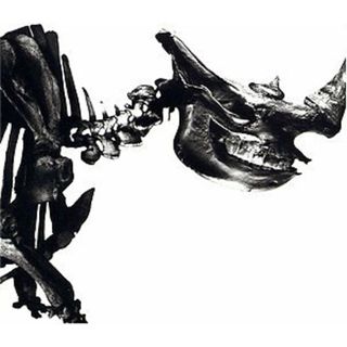 (CD)Mr.Children 1996-2000／Mr.Children