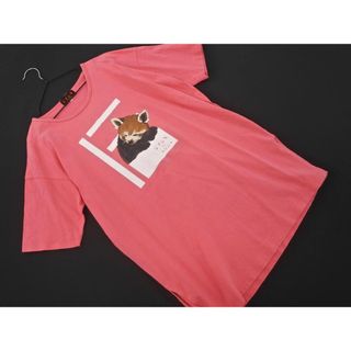 EVEX by KRIZIA エヴェックスバイクリツィア レッサーパンダ プリント カットソー size40/ピンク ■◆ レディース(カットソー(半袖/袖なし))