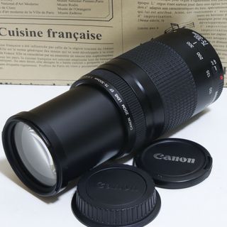 キヤノン(Canon)の◇大迫力超望遠◇ Canon純正 75-300mm II型 超望遠レンズ!!◇(レンズ(ズーム))
