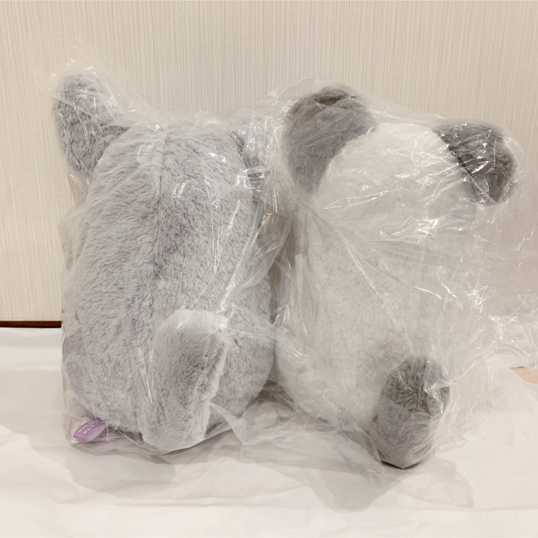 チンチラ　ぬいぐるみ　ララちゃん＆ニコちゃん　2種セット　ふわふわ　かわいい エンタメ/ホビーのおもちゃ/ぬいぐるみ(ぬいぐるみ)の商品写真