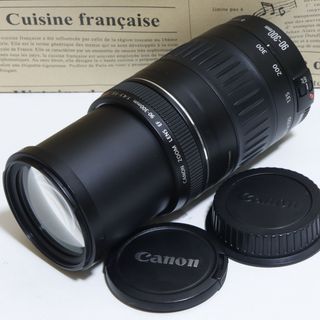★大迫力300mm超望遠レンズ★キャノン EF 90-300mm★