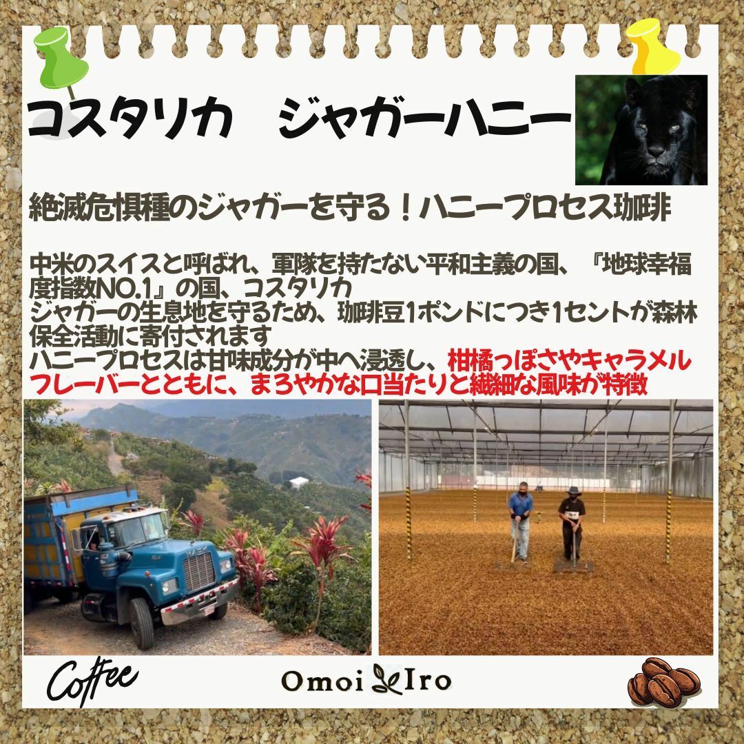 自家焙煎コーヒー豆  コスタリカ　ジャガーハニー　豆200g(16杯分)【旬】 食品/飲料/酒の飲料(コーヒー)の商品写真