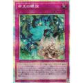 遊戯王 DOOD-JP079 命王の螺旋 (日本語版 プリズマティック