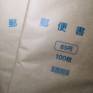 👑期間限定👑匿名発送👑ミニレター郵便書簡完封100枚×2冊(使用済み切手/官製はがき)