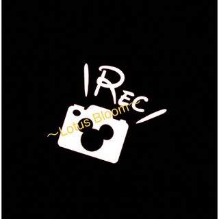 ドライブレコーダー　ドラレコ　ステッカー　デカール　NOW ON REC(車外アクセサリ)