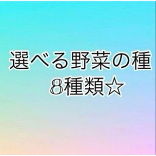 選べる野菜の種8種セット(プランター)