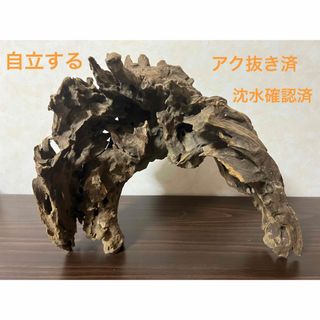 XM-321 流木マシンガンウッド　ブランチウッド　アクアリウム　沈水確認済(アクアリウム)