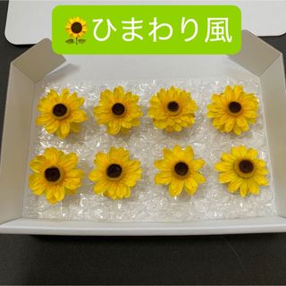 ひまわり風　ヘリクリサムドライフラワー　貝細工　花材　リース　ハーバリウム　