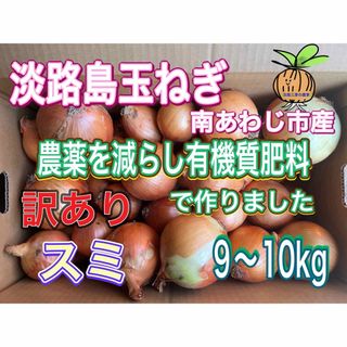【ス10】淡路島玉ねぎ 南あわじ市産 訳あり 9〜10kg (野菜)